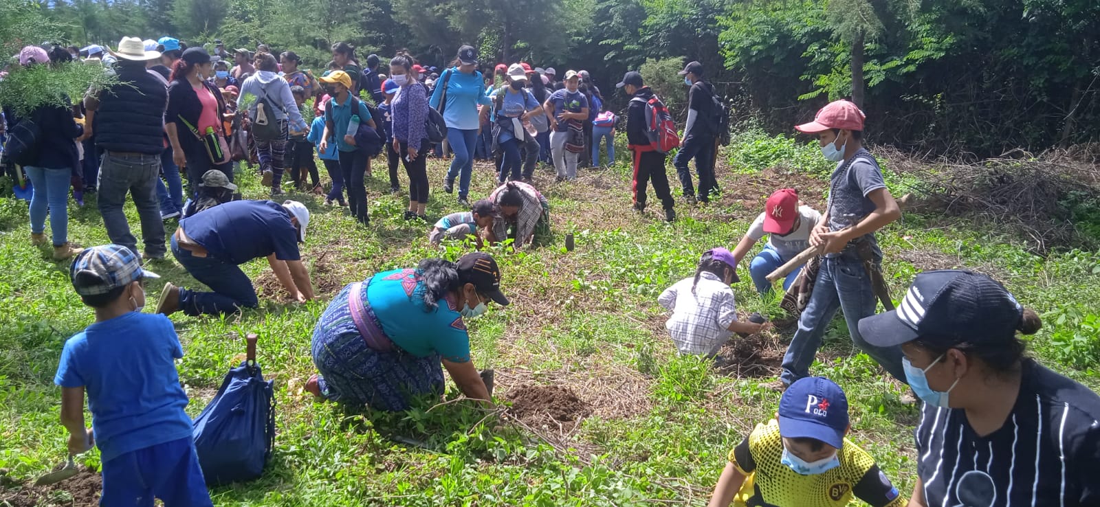 El Tejar y San Andrés Itzapa plantan más arboles