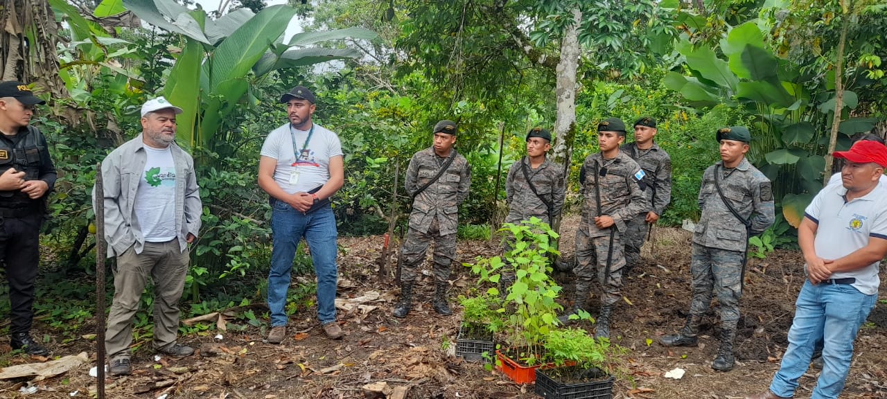 Petén avanza en el plan de reforestación con tres mil 500 árboles