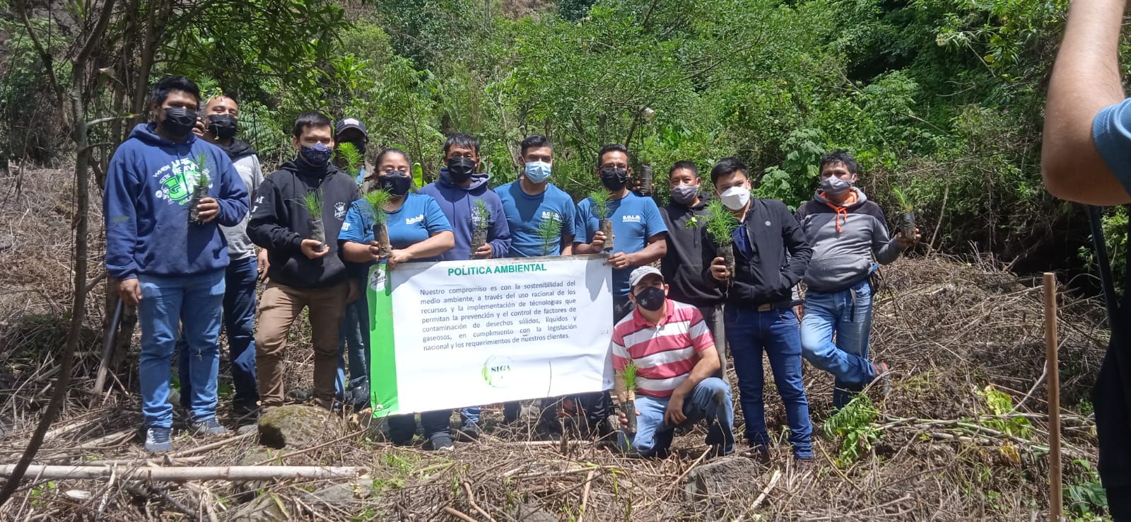 San Andrés Itzapa fortalece su cobertura forestal