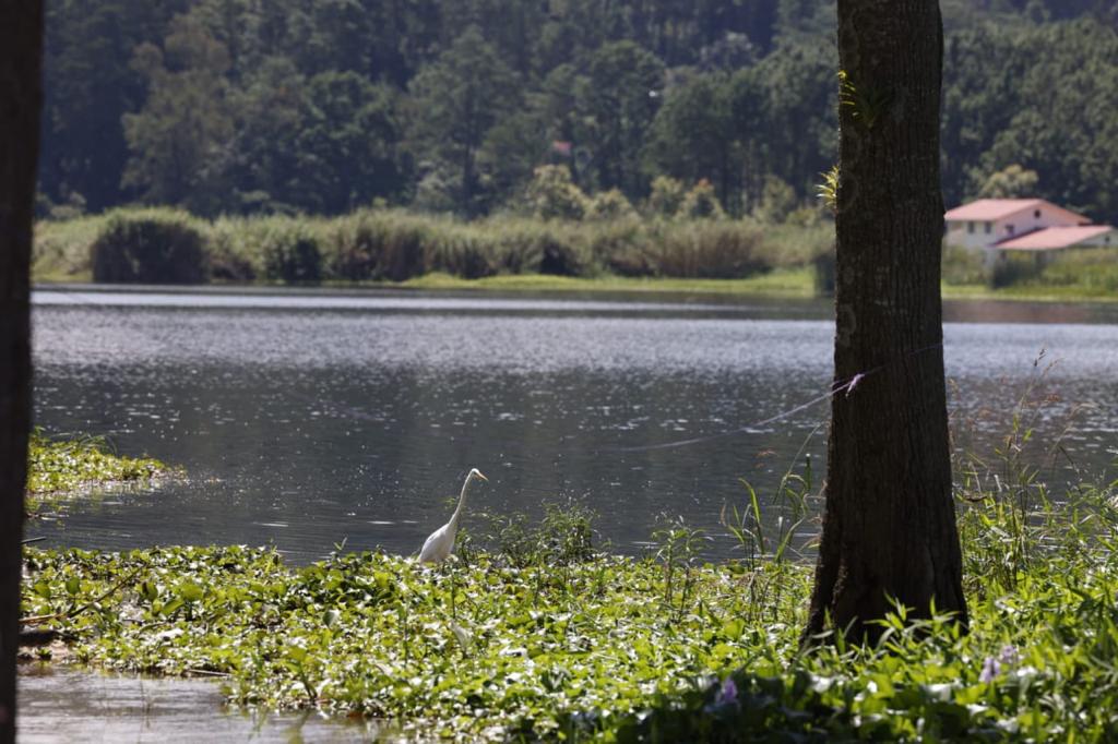 Recuperación de la Laguna Chichoj es un esfuerzo del MARN para los guatemaltecos