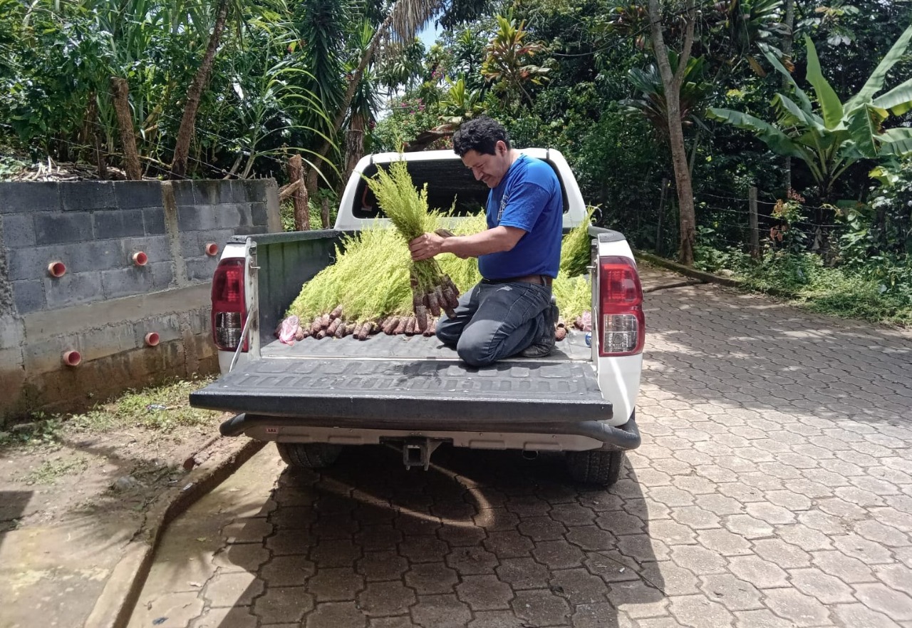 Trabajan en la conservación de la cuenca del río Hato