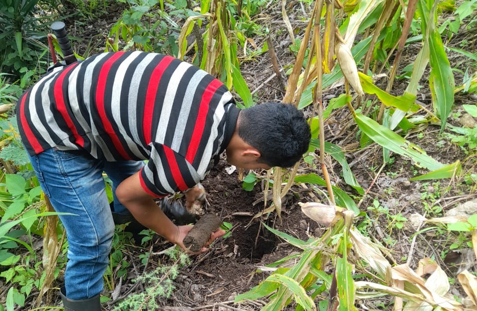 El Progreso recibe cinco mil 500 árboles más para fortalecer los bosques