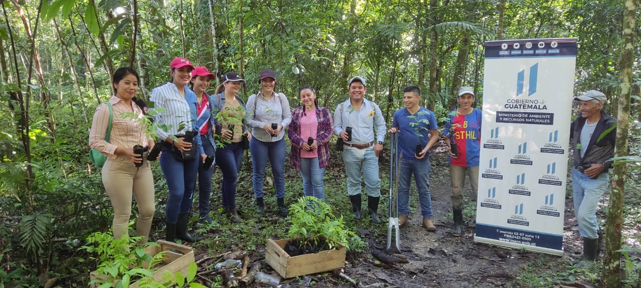 Universitarios se unen al MARN para reforestar parques naturales en Petén