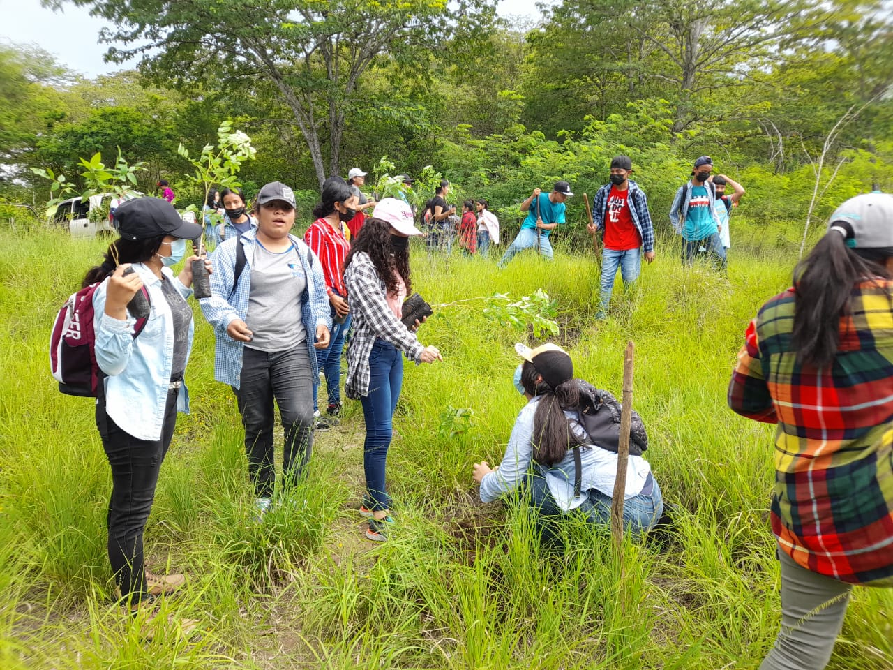 Estudiantes de San Cristóbal Acasaguastlán reforestan