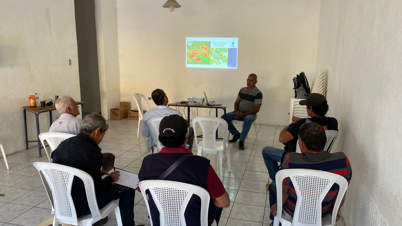 <strong>MARN fortalece el trabajo de técnicos municipales para la producción de plantas forestales</strong>