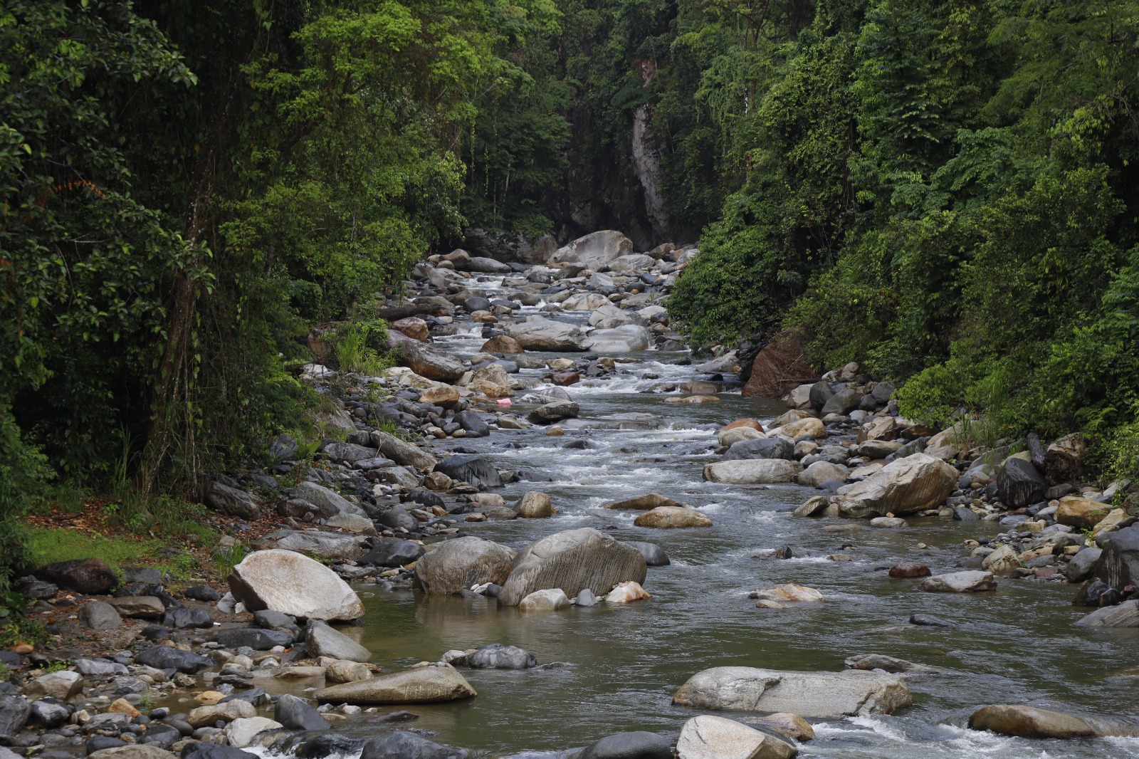 <strong>Día Mundial del Agua: MARN trabaja en distintas iniciativas para la conservación del recurso hídrico</strong>