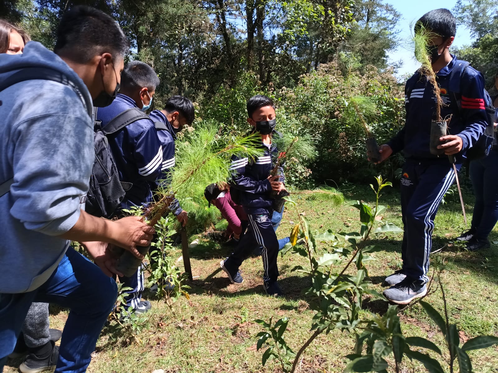 Jornada de reforestación conmemora el Día de la Tierra en Chimaltenango