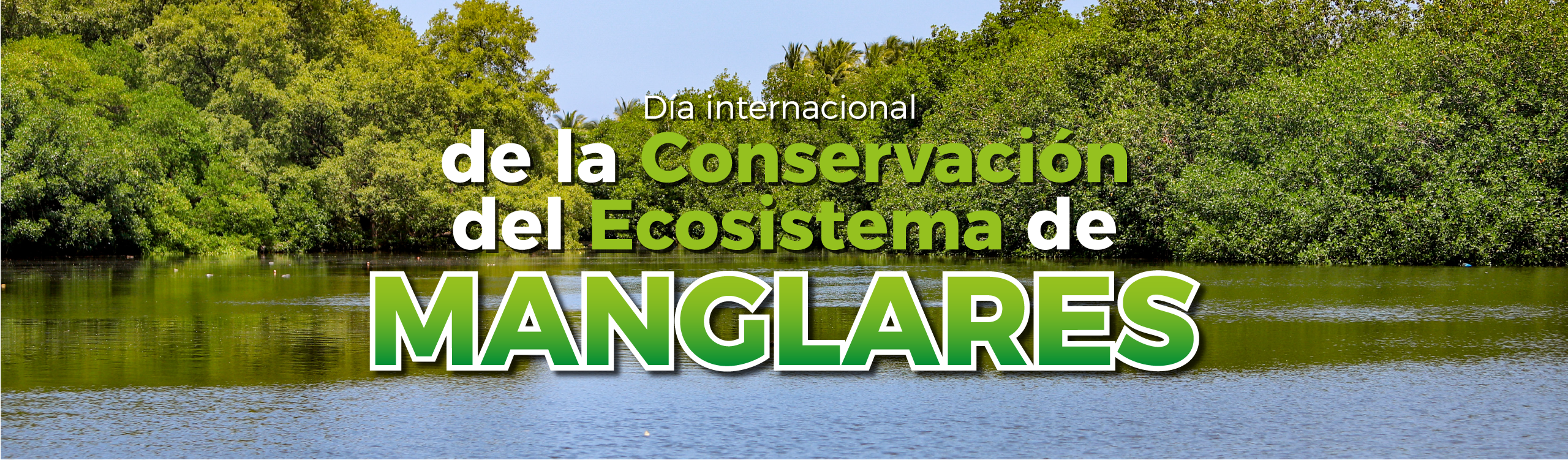 Defensa del Ecosistema Manglar