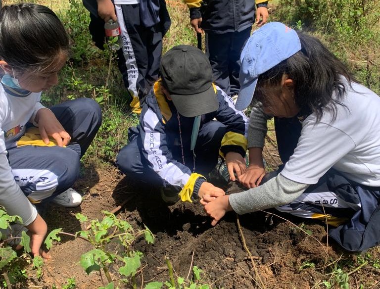 Niños de San Pedro Sacatepéquez reforestan el bosque municipal