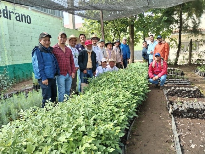 Instituciones y voluntarios unidos para reforestar en Santa Cruz del Quiché