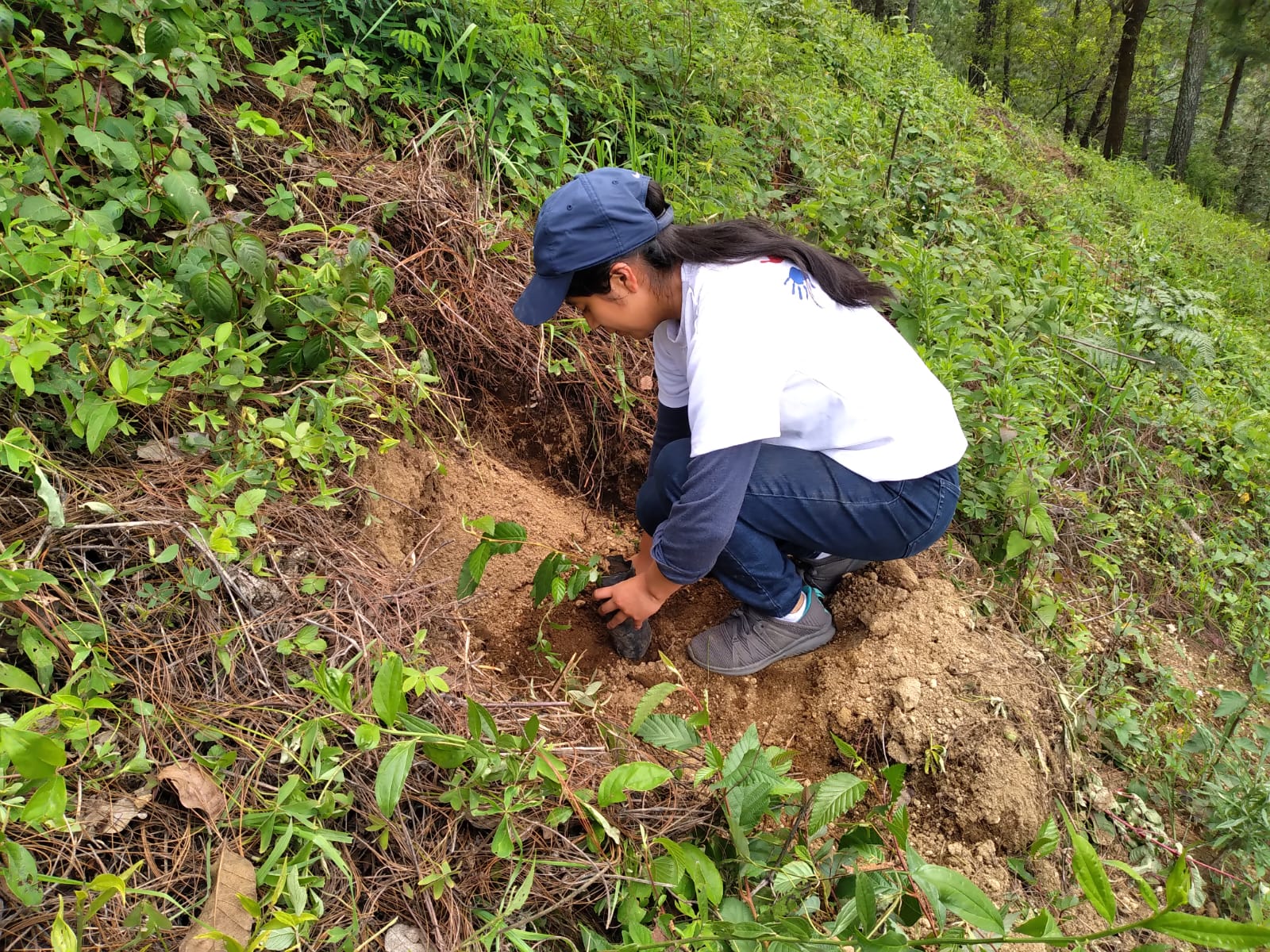 Líderes Ambientales del MARN reforestan en Patzún, Chimaltenango