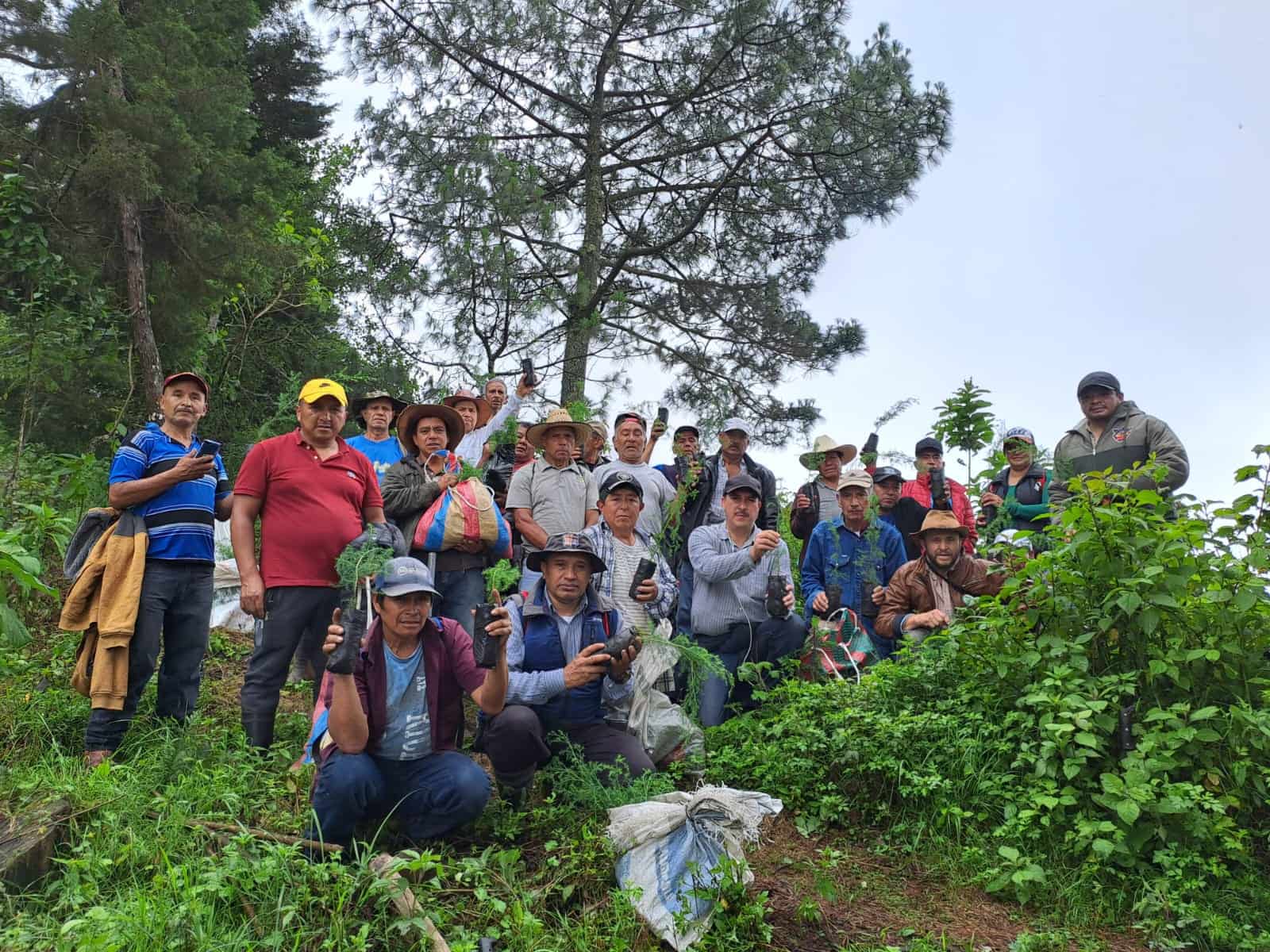 Marquenses reforestan el Bosque Municipal de Esquipulas Palo Gordo