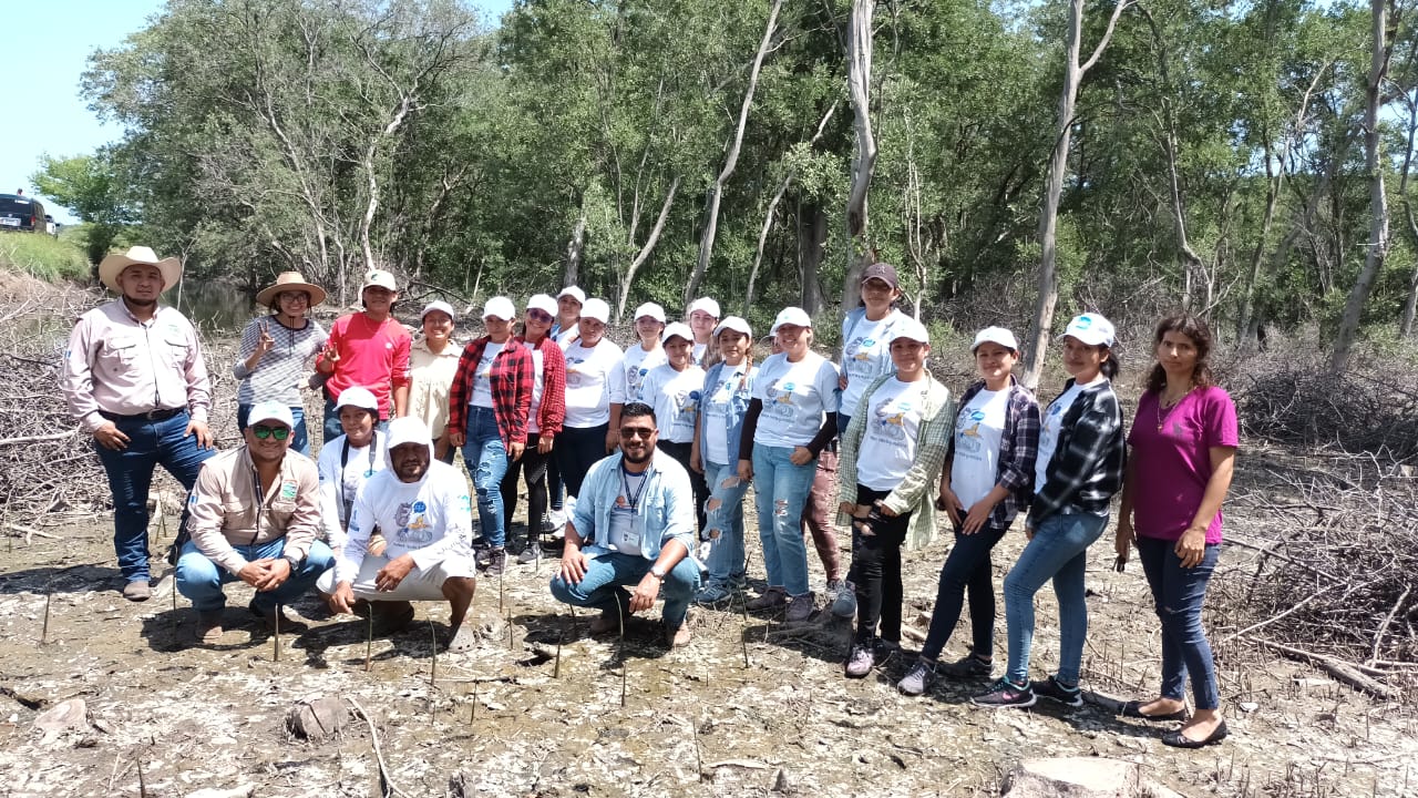 MARN celebra el Día de la Defensa del Ecosistema Manglar con actividades de reforestación