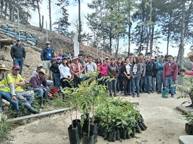 Reforestación en Quiché contribuye a la protección de la biodiversidad y la recuperación de zonas de recarga hídrica