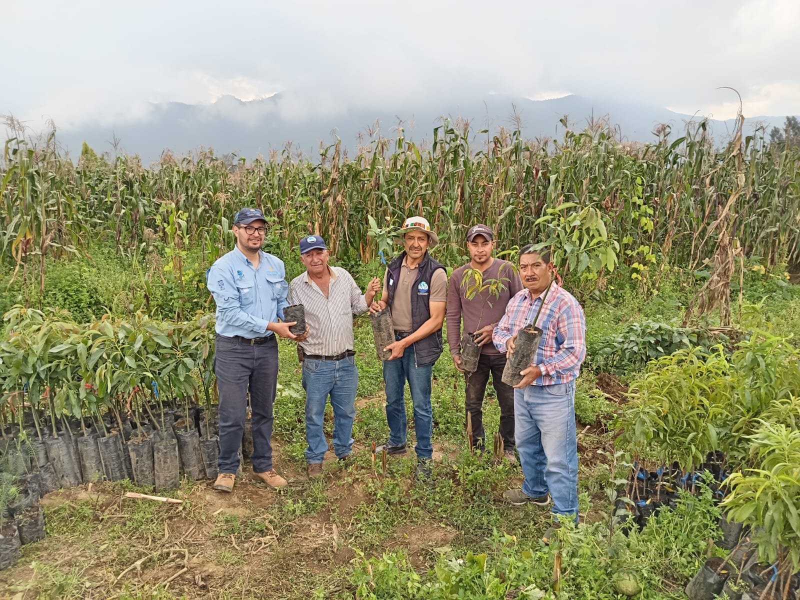 ENTREGA DE PLANTAS FORESTALES, FRUTALES Y HERRAMIENTAS A PEQUEÑOSPRODUCTORES DEL MUNICIPIO DE SAN JUAN OSTUNCALCO, QUETZALTENANGO