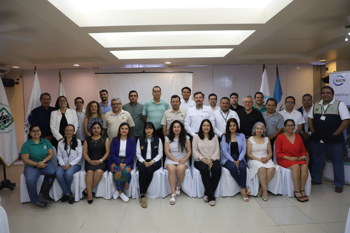 MARN participa en lanzamiento de Proyecto Nacional Bosques Críticos Mesoamericanos