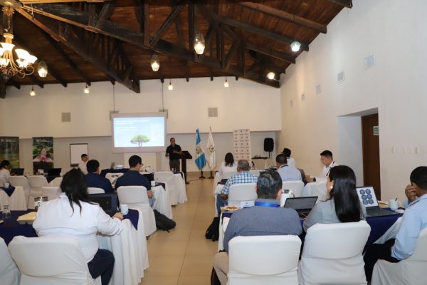 WhatsApp Image 2025-11-27 at 16.08.29 (2)