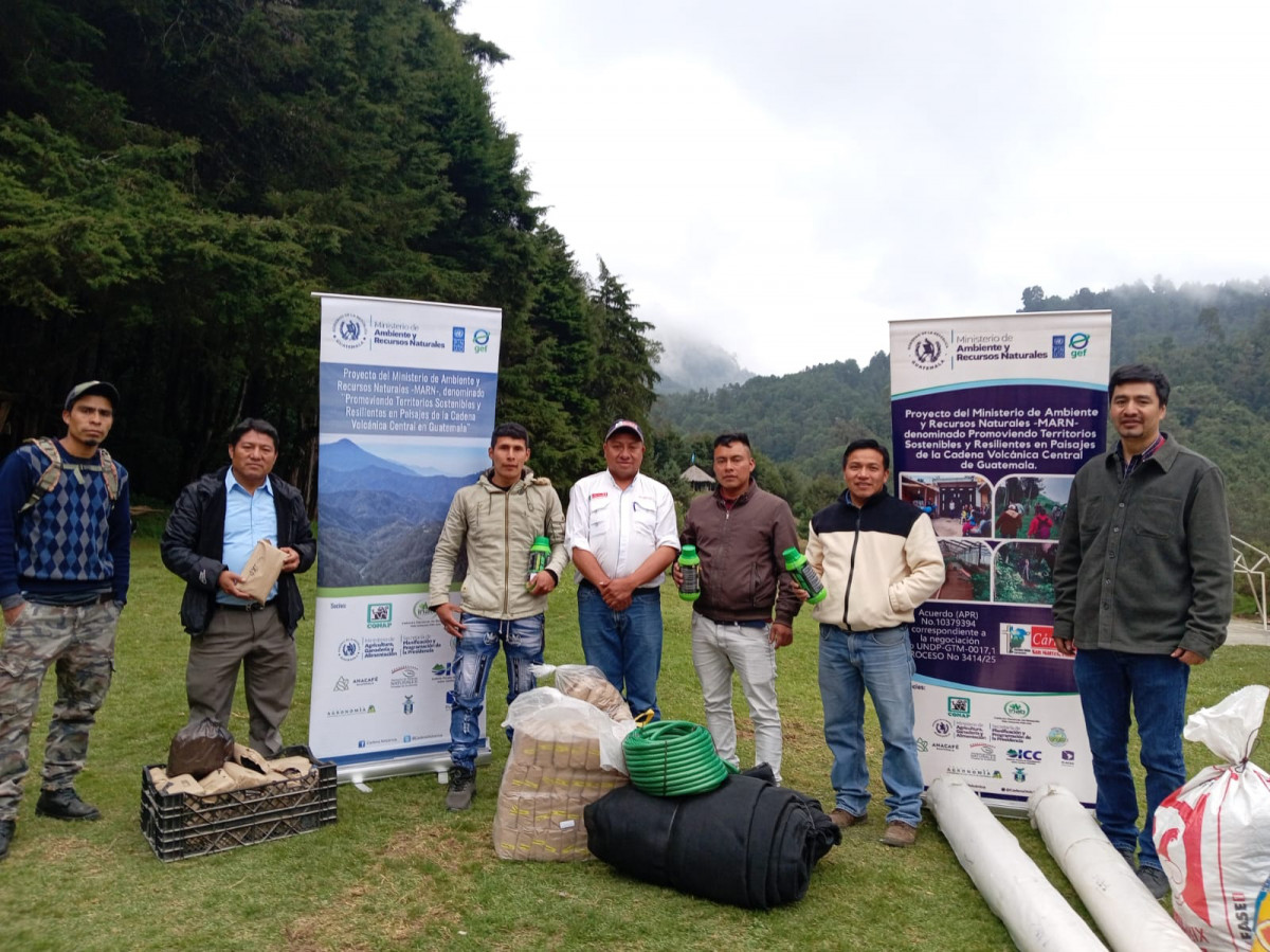 Cooperación interinstitucional fortalece viveros forestales en nueve municipios de la Cadena Volcánica